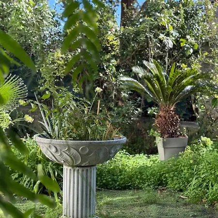 Beautiful 4-bedroom With Pool And Garden